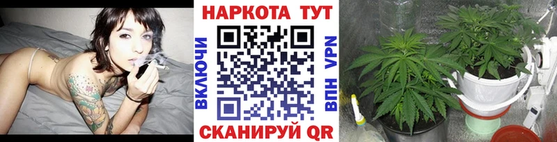 Купить закладку Конопля МЕФ КОКАИН ГАШИШ Сясьстрой