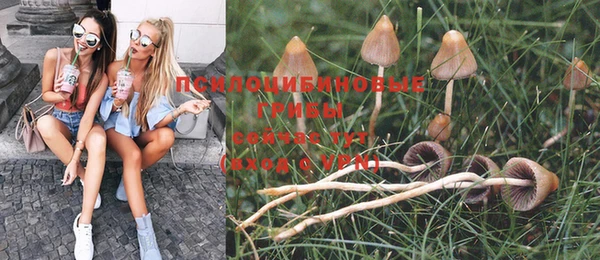 прущая мука Аркадак